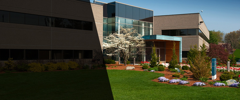 Cape Elizabeth Landscapers