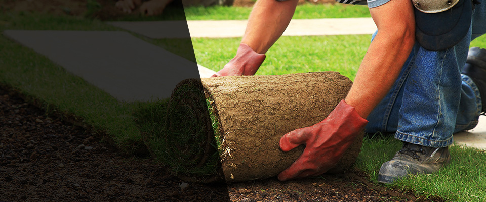 Cape Elizabeth Landscapers